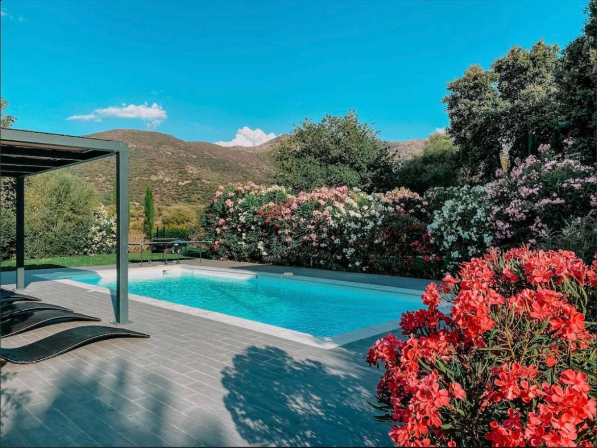Casa Giabiconi - Villa 6Pers. Piscine & Spa Occhiatana Dış mekan fotoğraf